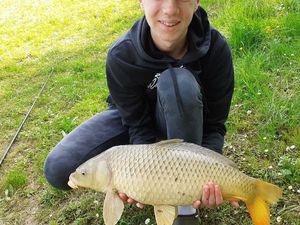 Common Carp