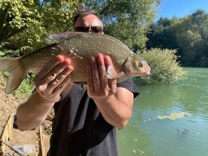 Common Bream