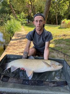 Grass Carp