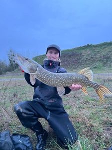 Northern Pike