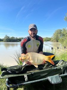 Mirror Carp
