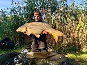 Common Carp
