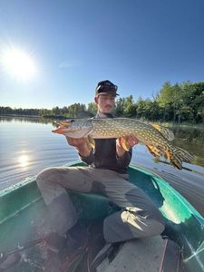 Northern Pike