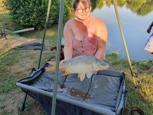 Mirror Carp