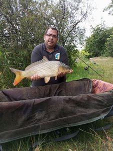 Common Carp