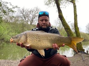 Common Carp