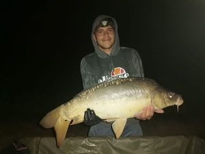 Mirror Carp