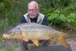 Common Carp