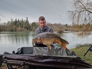 Mirror Carp