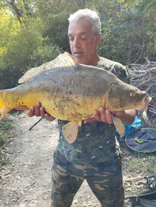 Leather Carp