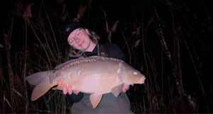 Mirror Carp