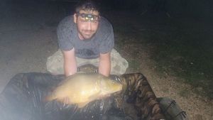 Mirror Carp