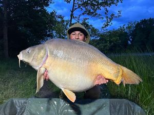 Mirror Carp