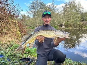 Northern Pike