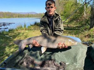 Grass Carp