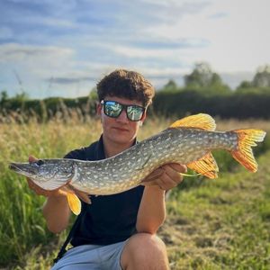 Northern Pike