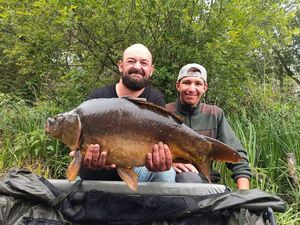 Mirror Carp