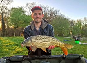 Common Carp