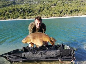 Mirror Carp