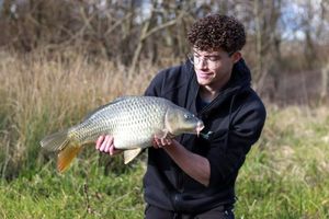Common Carp