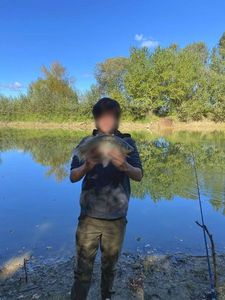 Crucian Carp