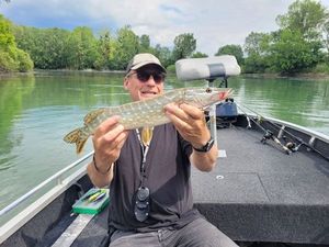 Northern Pike