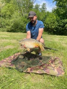 Common Carp