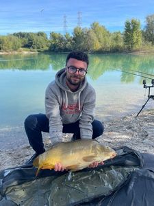 Mirror Carp