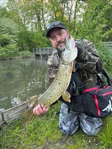 Northern Pike