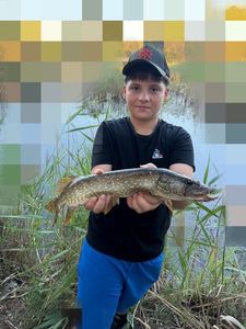 Northern Pike