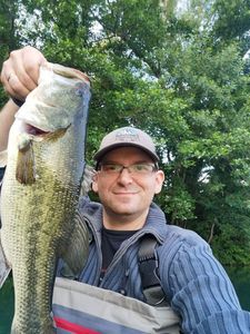 Largemouth Bass