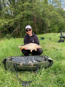 Common Carp