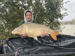 Mirror Carp