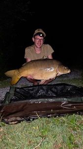 Mirror Carp