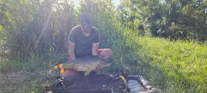 Leather Carp