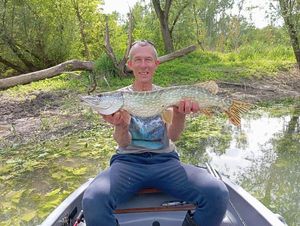 Northern Pike