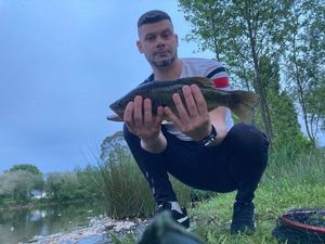 Largemouth Bass