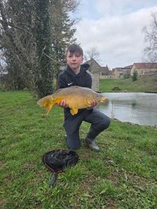 Mirror Carp