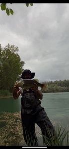 Largemouth Bass