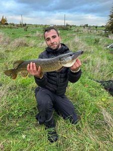 Northern Pike