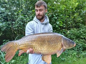 Common Carp