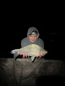 Crucian Carp