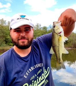Largemouth Bass