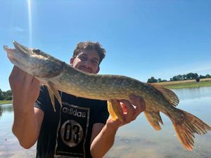 Northern Pike