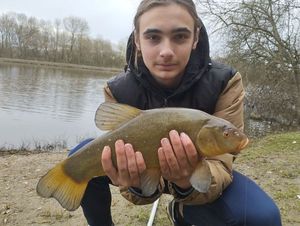 Tench