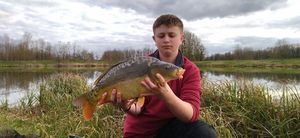 Leather Carp