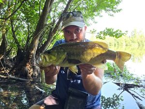 Largemouth Bass