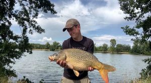 Common Carp