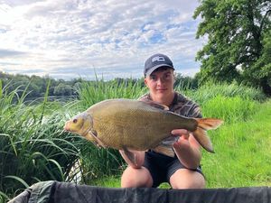 Common Bream