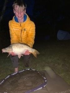 Common Carp
